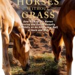 Horse Care Guide by 14 Hands Press Kindle Edition-0