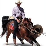 Horse Care Guide by Wind River Company Kindle eBook 156 Pages-0