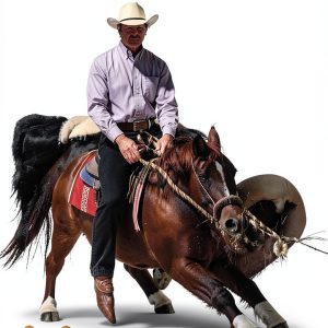 Horse Care Guide by Wind River Company Kindle eBook 156 Pages-0